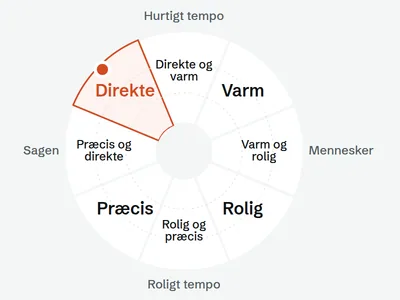 Samtalestilhjulet fra samtaleprofilen: fire stile og fire mellemformer mellem hurtigt og roligt tempo og mellem sagen og mennesker. Stilen Direkte er markeret.